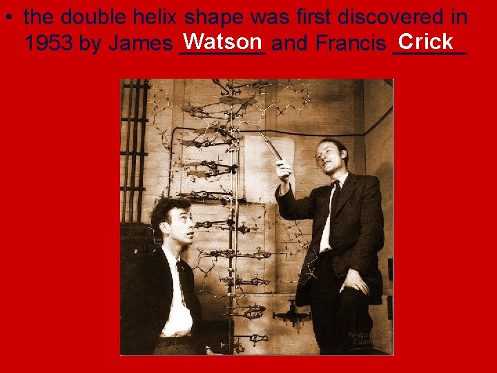  • the double helix shape was first discovered in Watson Crick 1953 by