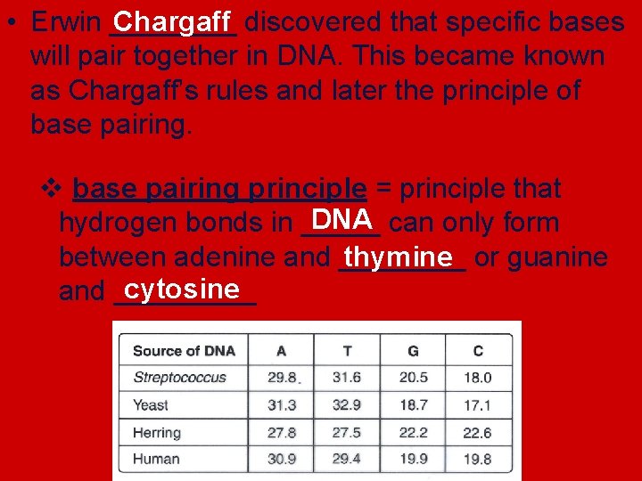 Chargaff • Erwin ____ discovered that specific bases will pair together in DNA. This