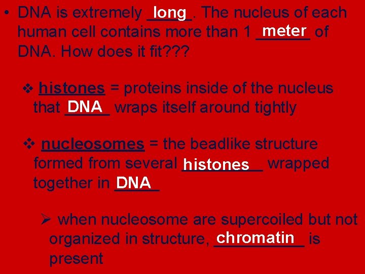 long • DNA is extremely _____. The nucleus of each meter human cell contains
