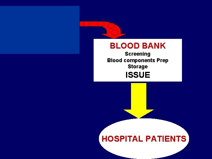 BLOOD DONORS BLOOD BANK Screening Blood components Prep Storage ISSUE HOSPITAL PATIENTS 