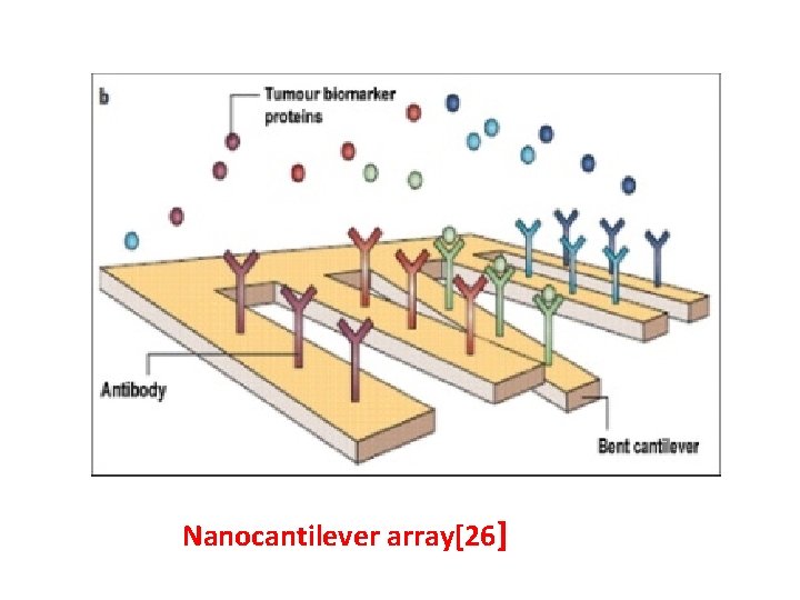Nanocantilever array[26] 