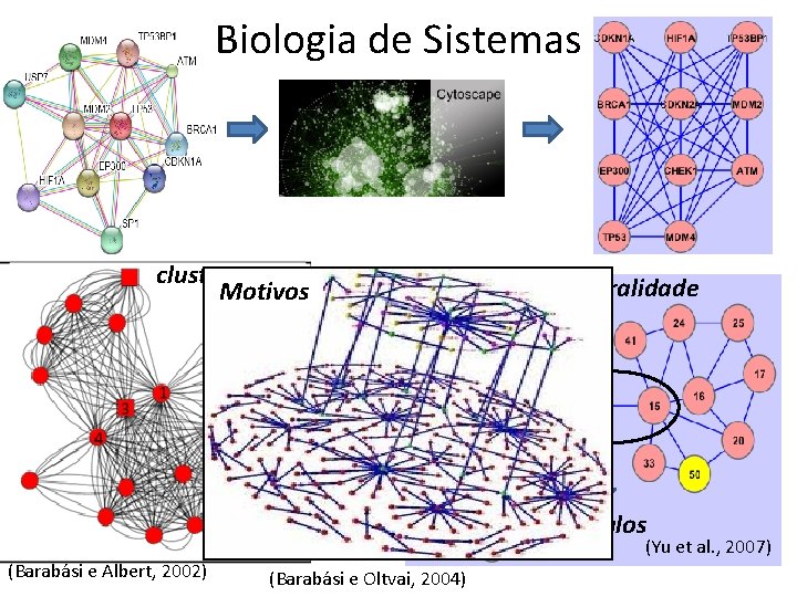 Biologia de Sistemas clusters Motivos Centralidade hubs gargalos (Barabási e Albert, 2002) (Yu et