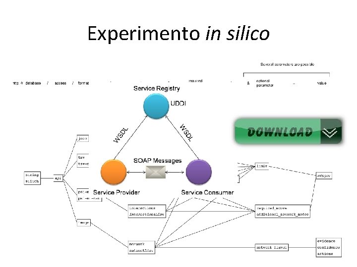 Experimento in silico • Acesso aos Dados: URL, web service ou download? 
