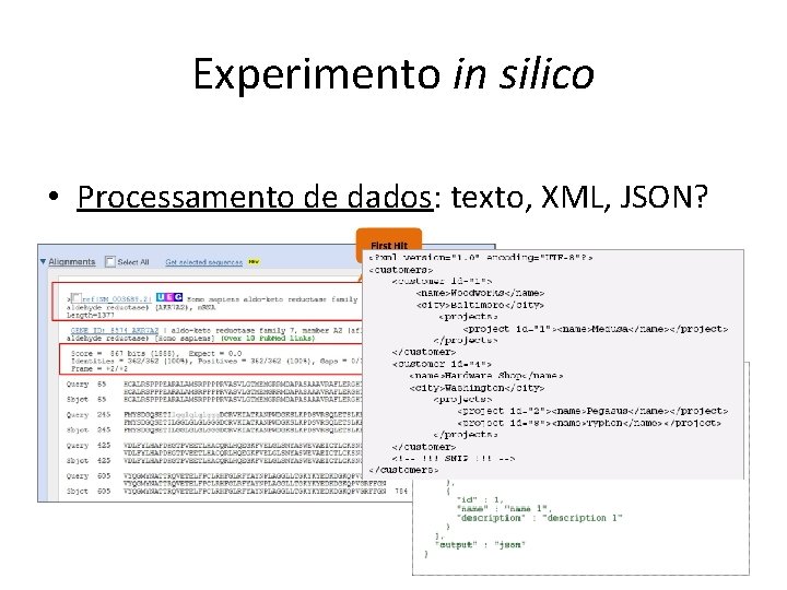 Experimento in silico • Processamento de dados: texto, XML, JSON? 