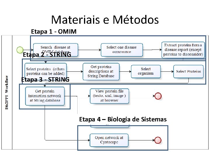 Materiais e Métodos Etapa 1 - OMIM Etapa 2 - STRING Etapa 3 -