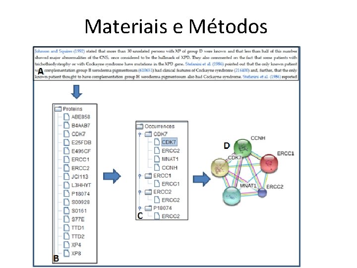 Materiais e Métodos 