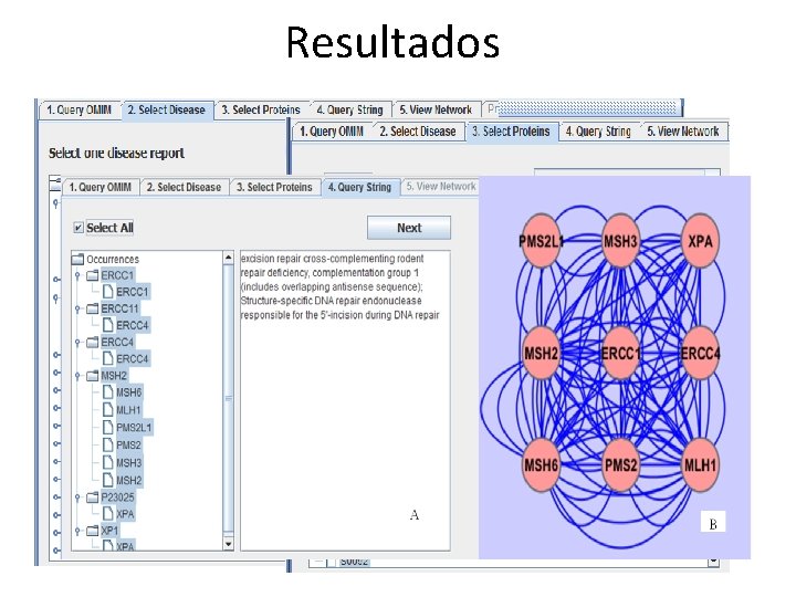 Resultados 