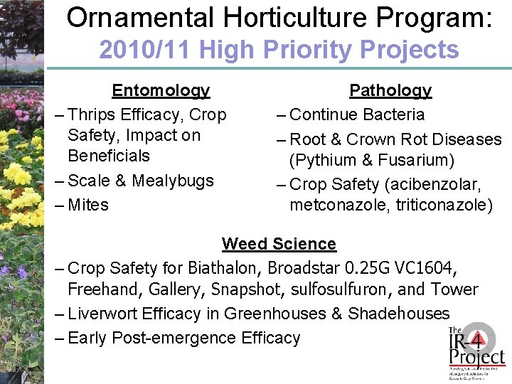 Ornamental Horticulture Program: 2010/11 High Priority Projects Entomology – Thrips Efficacy, Crop Safety, Impact
