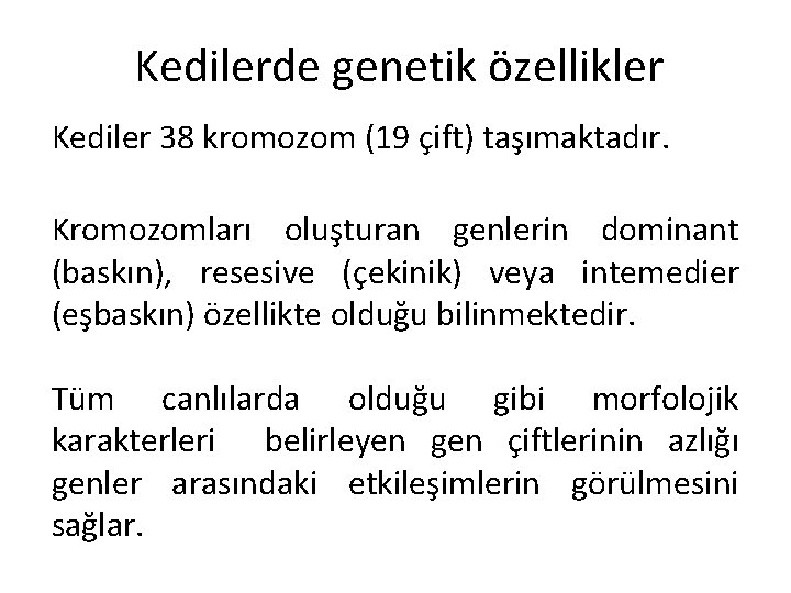 Kedilerde genetik özellikler Kediler 38 kromozom (19 çift) taşımaktadır. Kromozomları oluşturan genlerin dominant (baskın),