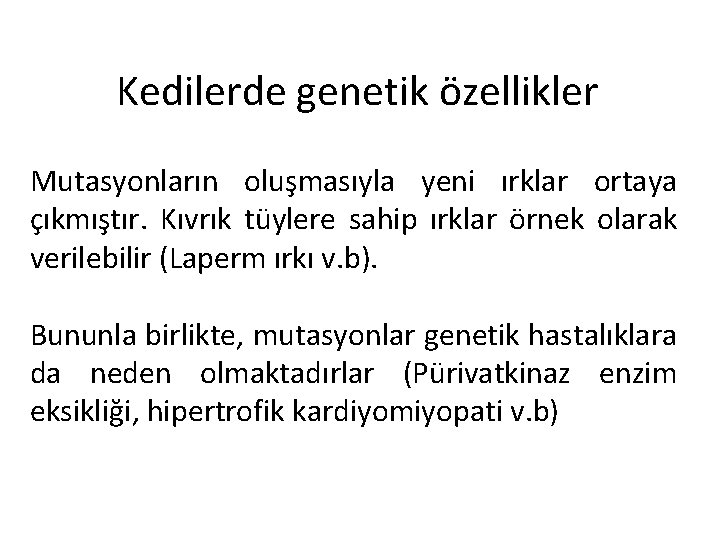 Kedilerde genetik özellikler Mutasyonların oluşmasıyla yeni ırklar ortaya çıkmıştır. Kıvrık tüylere sahip ırklar örnek