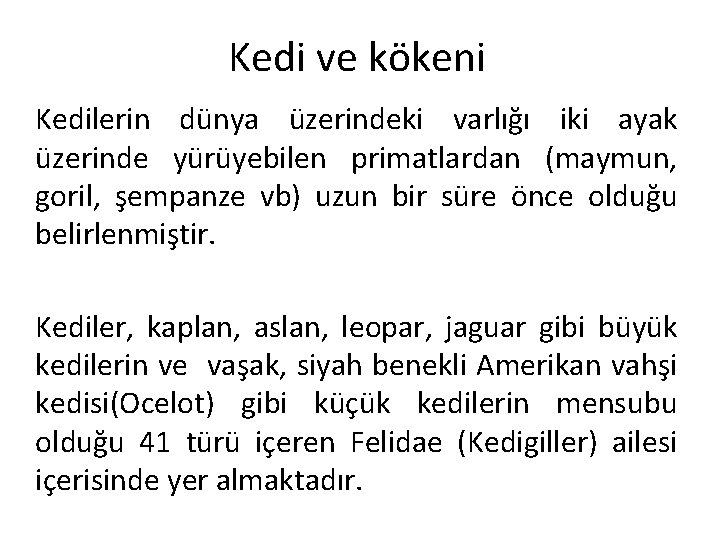 Kedi ve kökeni Kedilerin dünya üzerindeki varlığı iki ayak üzerinde yürüyebilen primatlardan (maymun, goril,