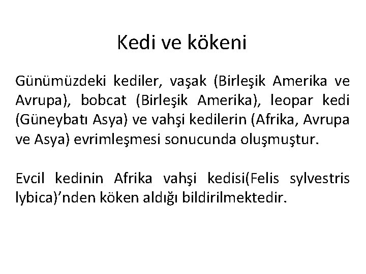 Kedi ve kökeni Günümüzdeki kediler, vaşak (Birleşik Amerika ve Avrupa), bobcat (Birleşik Amerika), leopar