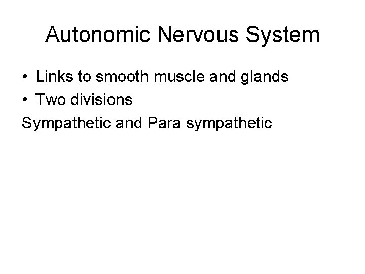 Autonomic Nervous System • Links to smooth muscle and glands • Two divisions Sympathetic