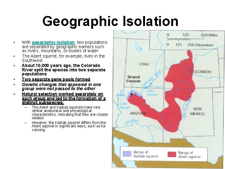 Geographic Isolation • • • With geographic isolation, two populations are separated by geographic