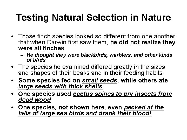 Testing Natural Selection in Nature • Those finch species looked so different from one