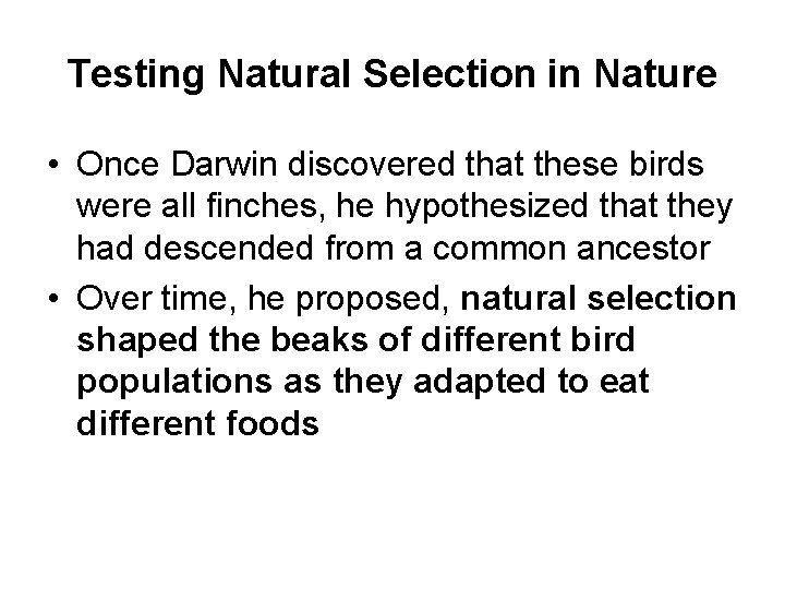 Testing Natural Selection in Nature • Once Darwin discovered that these birds were all