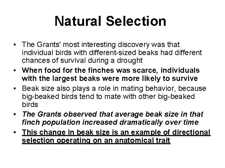 Natural Selection • The Grants' most interesting discovery was that individual birds with different-sized