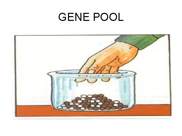 GENE POOL 
