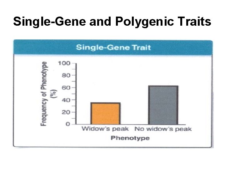 Single-Gene and Polygenic Traits 