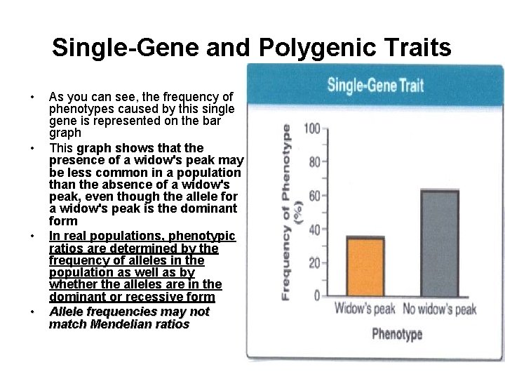 Single-Gene and Polygenic Traits • • As you can see, the frequency of phenotypes