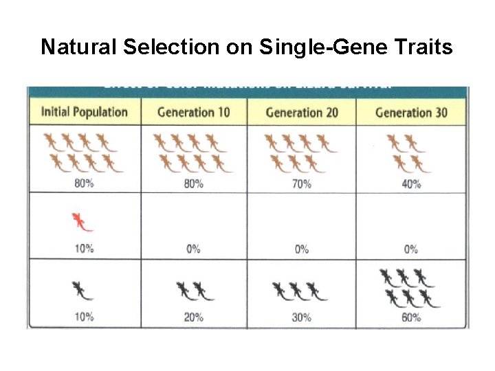 Natural Selection on Single-Gene Traits 