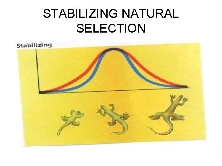 STABILIZING NATURAL SELECTION 