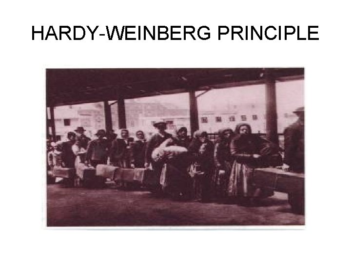 HARDY-WEINBERG PRINCIPLE 