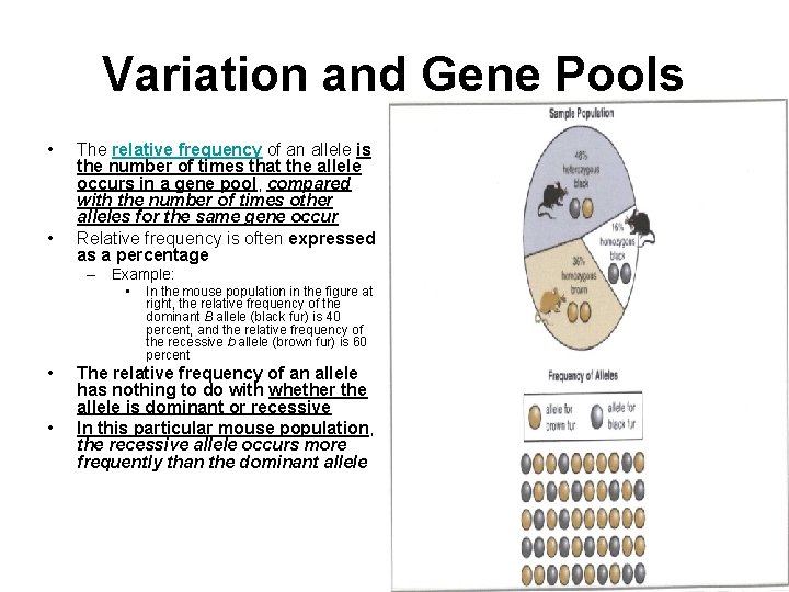 Variation and Gene Pools • • The relative frequency of an allele is the