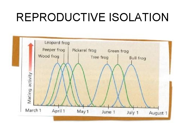 REPRODUCTIVE ISOLATION 