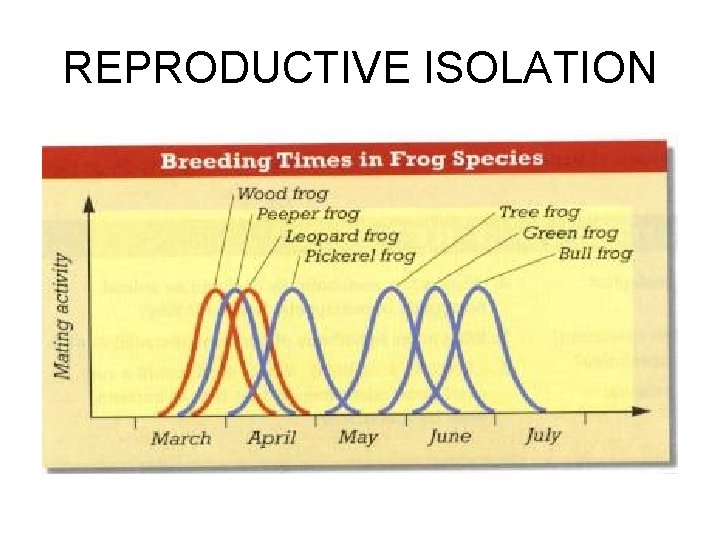 REPRODUCTIVE ISOLATION 