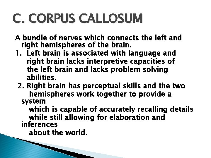 C. CORPUS CALLOSUM A bundle of nerves which connects the left and right hemispheres