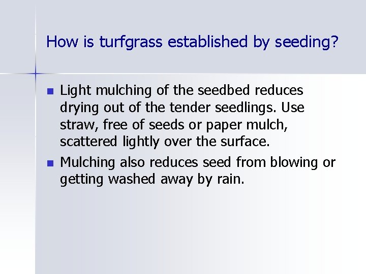 How is turfgrass established by seeding? n n Light mulching of the seedbed reduces