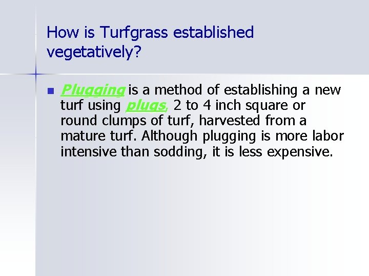 How is Turfgrass established vegetatively? n Plugging is a method of establishing a new