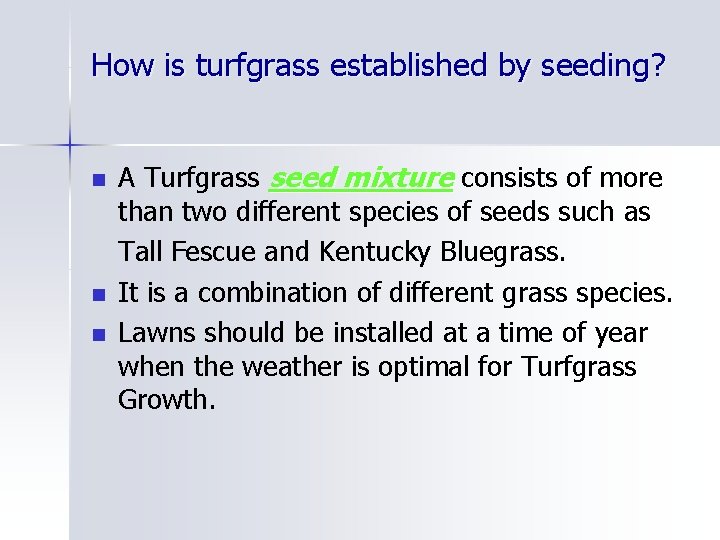 How is turfgrass established by seeding? n n n A Turfgrass seed mixture consists
