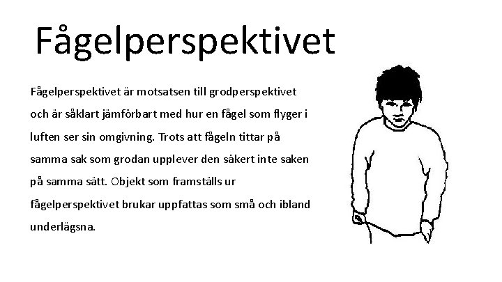 Fågelperspektivet är motsatsen till grodperspektivet och är såklart jämförbart med hur en fågel som