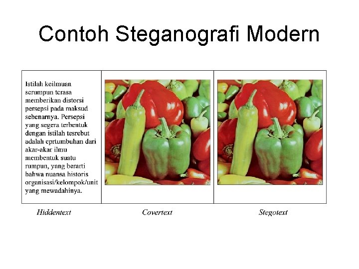 Contoh Steganografi Modern 
