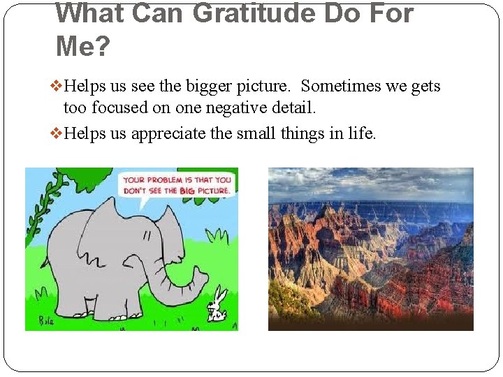 What Can Gratitude Do For Me? v Helps us see the bigger picture. Sometimes