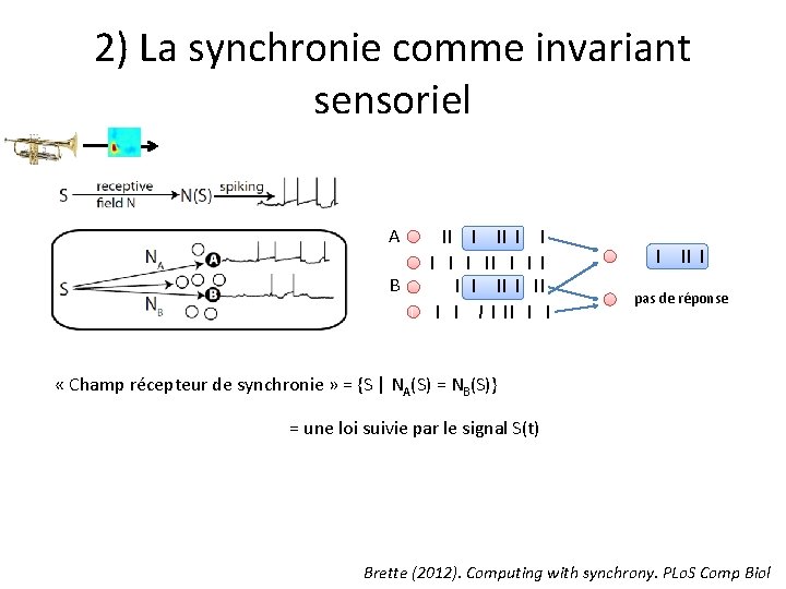 2) La synchronie comme invariant sensoriel A B pas de réponse « Champ récepteur