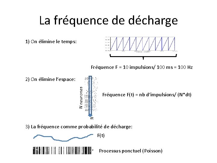 La fréquence de décharge 1) On élimine le temps: Fréquence F = 10 impulsions/