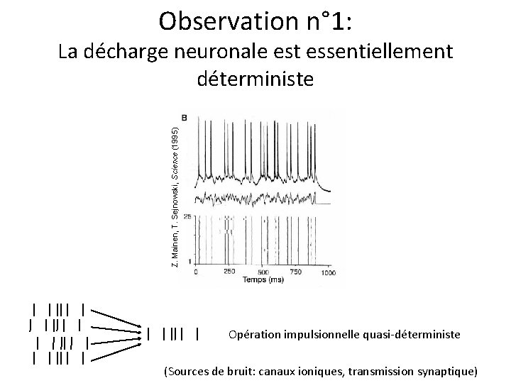 Observation n° 1: Z. Mainen, T. Sejnowski, Science (1995) La décharge neuronale est essentiellement