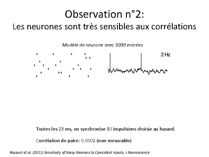 Observation n° 2: Les neurones sont très sensibles aux corrélations Modèle de neurone avec