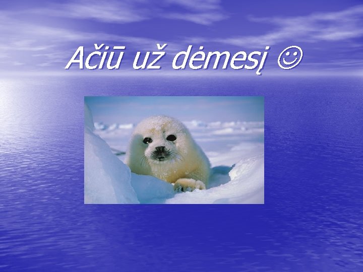 Ačiū už dėmesį 