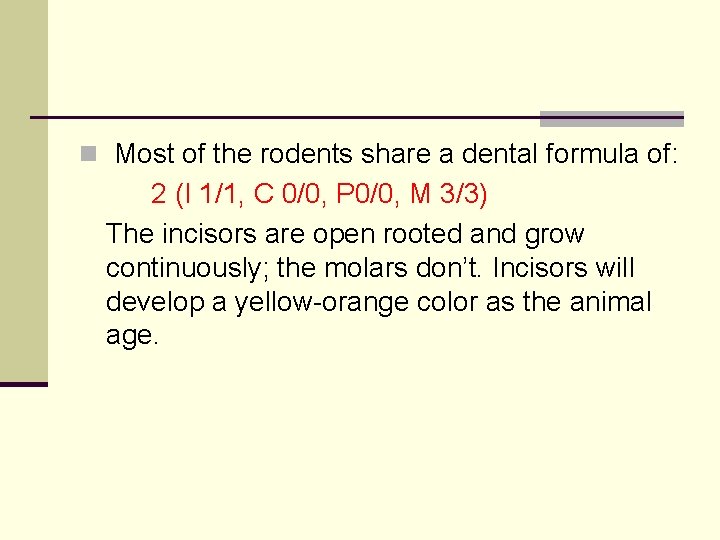 n Most of the rodents share a dental formula of: 2 (I 1/1, C