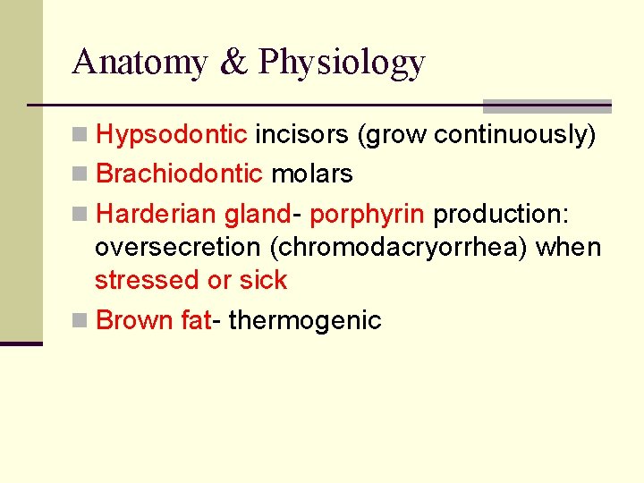 Anatomy & Physiology n Hypsodontic incisors (grow continuously) n Brachiodontic molars n Harderian gland-