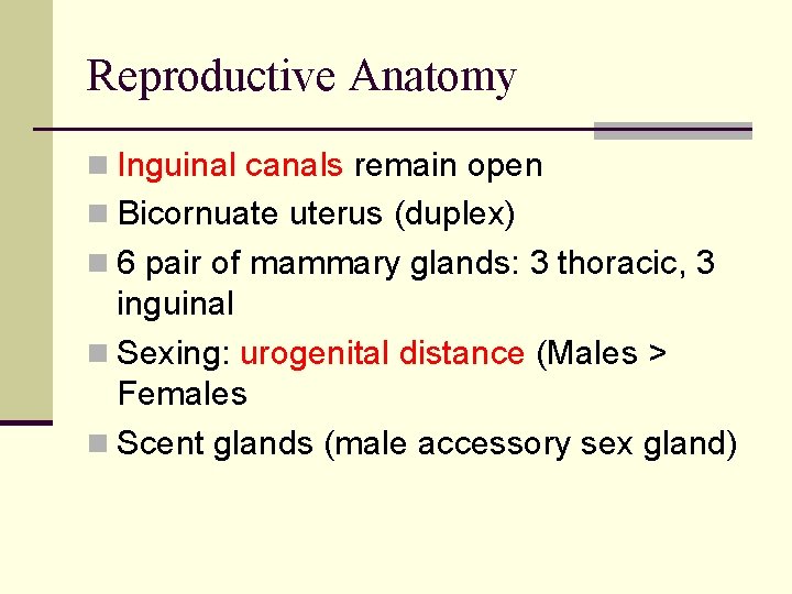 Reproductive Anatomy n Inguinal canals remain open n Bicornuate uterus (duplex) n 6 pair