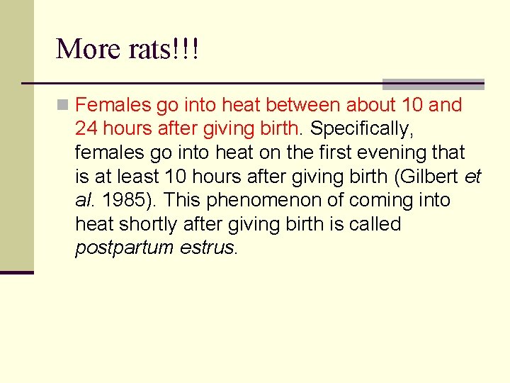 More rats!!! n Females go into heat between about 10 and 24 hours after