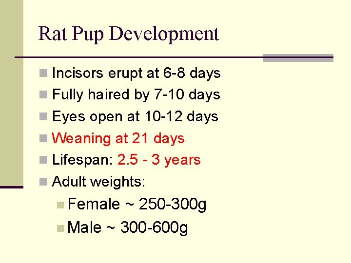 Rat Pup Development n Incisors erupt at 6 -8 days n Fully haired by