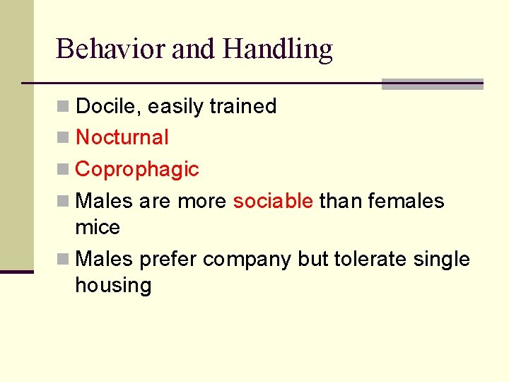 Behavior and Handling n Docile, easily trained n Nocturnal n Coprophagic n Males are