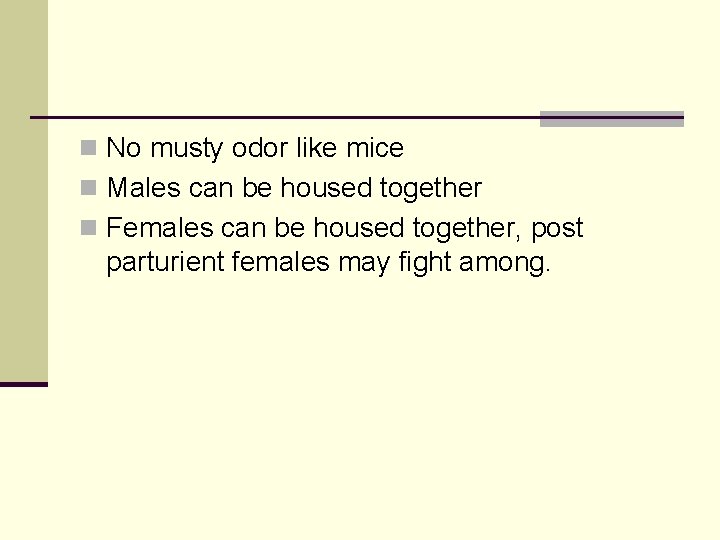 n No musty odor like mice n Males can be housed together n Females
