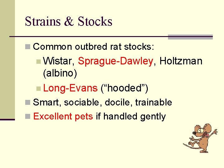 Strains & Stocks n Common outbred rat stocks: n Wistar, Sprague-Dawley, Holtzman (albino) n